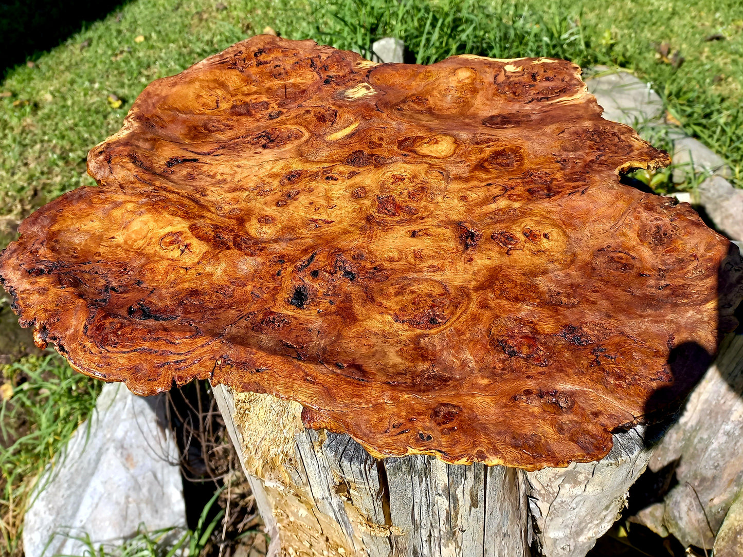 Platter Inverell