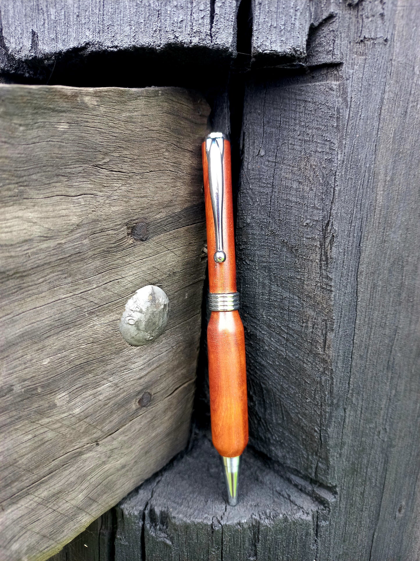 Pen Potoroo