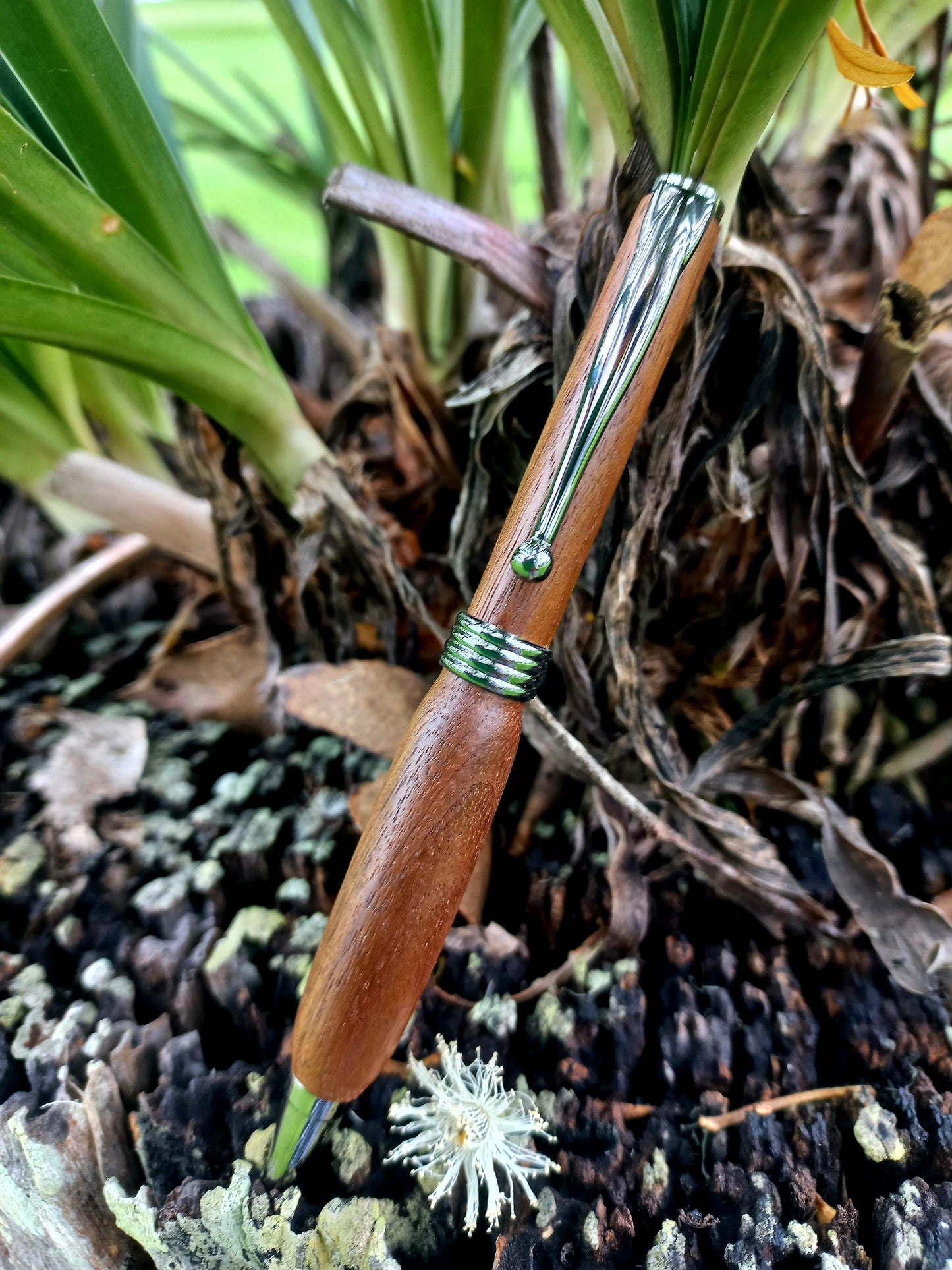 Pen - In The Dam