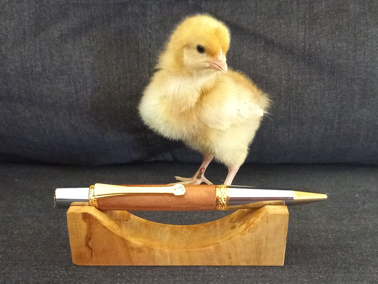 Swarovski Pen